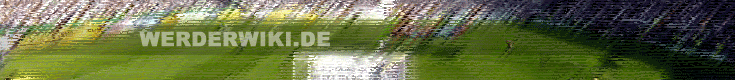 WerderWiki-Banner